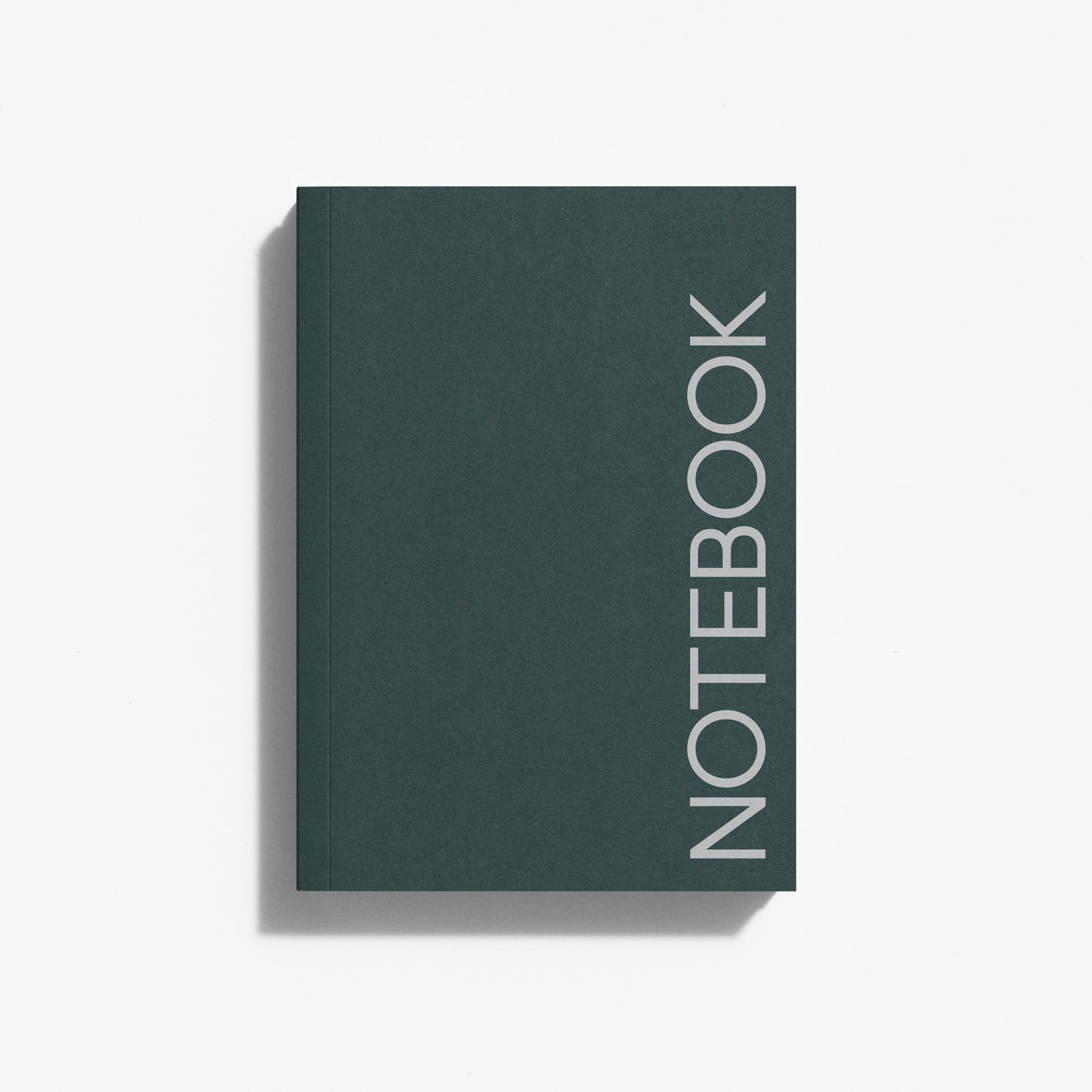 NOTEBOOK (Holly)